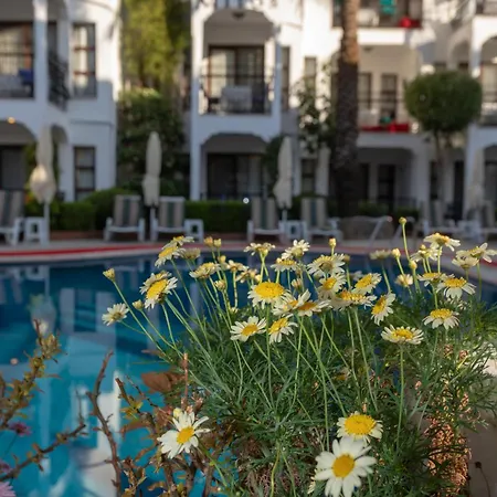 公寓式酒店 Mitos 3*